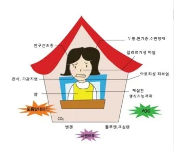 새집증후군 원인 제거 방법 포름알데히드 완전 가이드_13