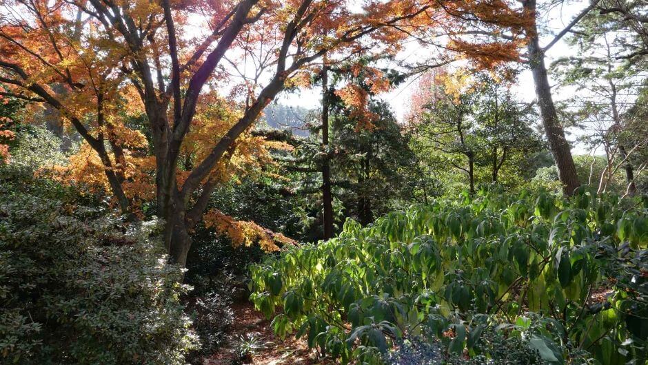 태안여행