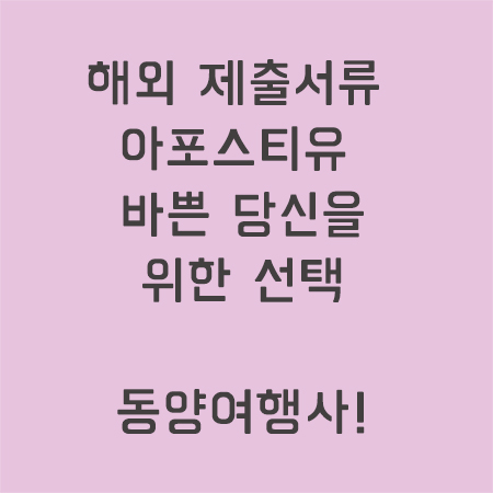 해외유학공증인증