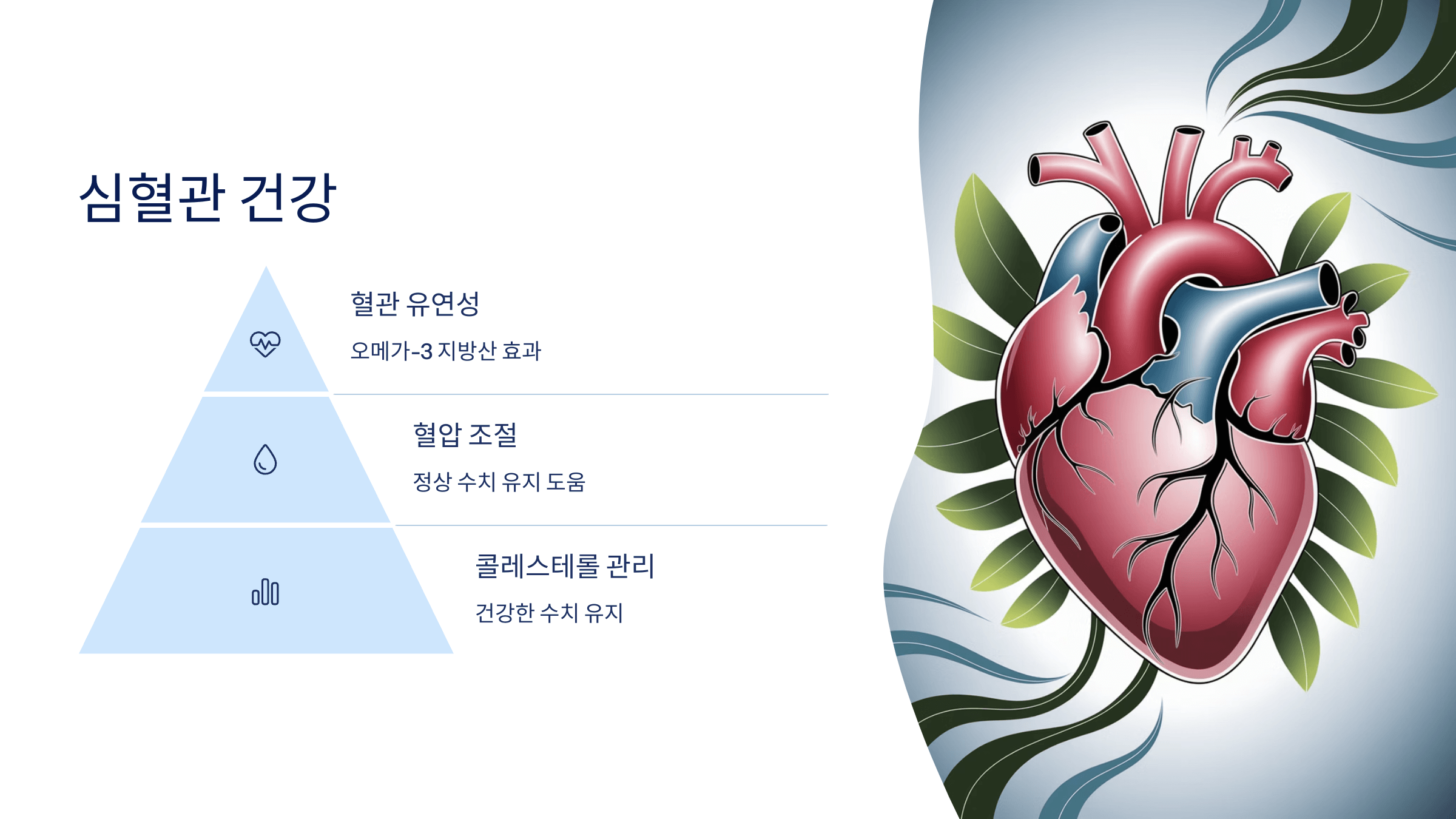 대마종자유와 관련된 사진입니다.