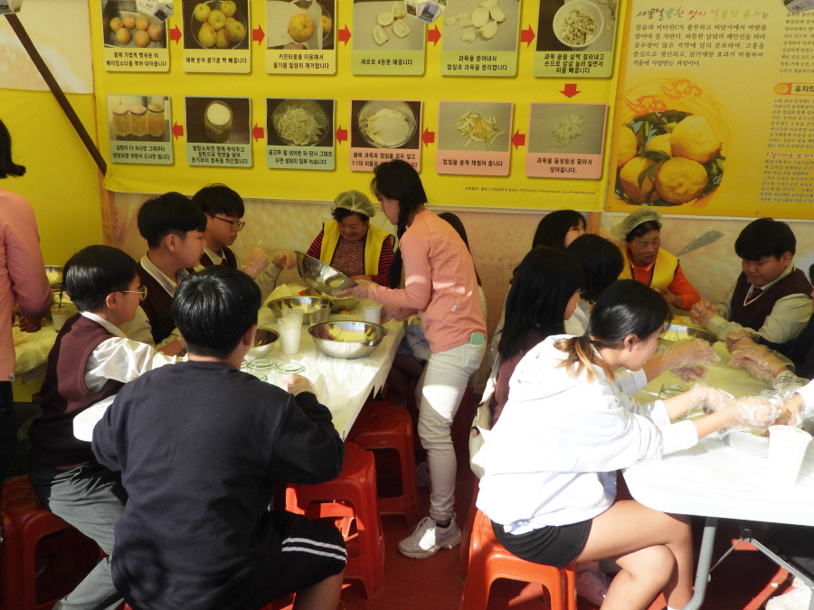 2024 고흥 유자 축제