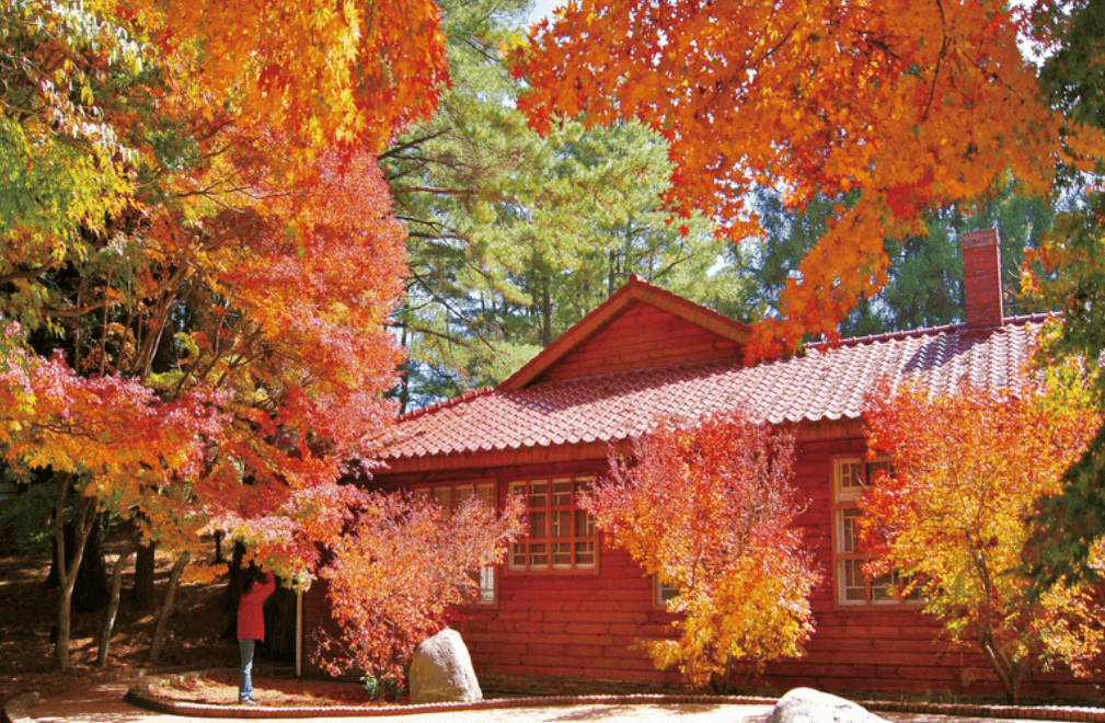 대만 여행지원금 트리플 당근알바