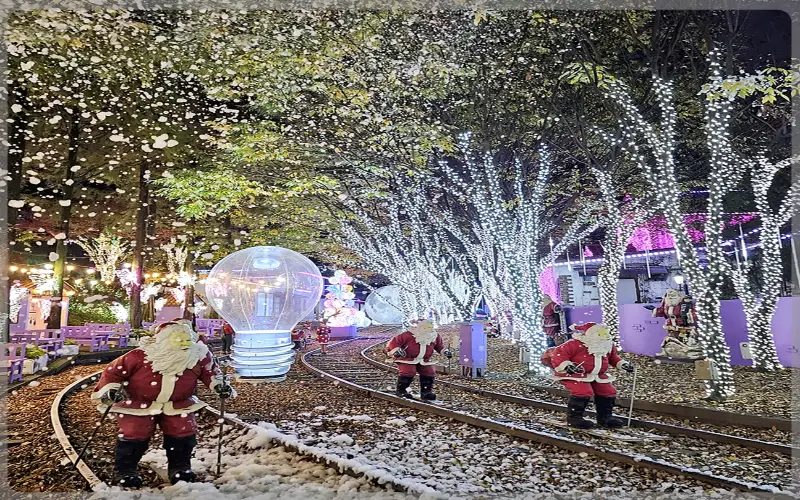 청도 프로방스 빛축제_15