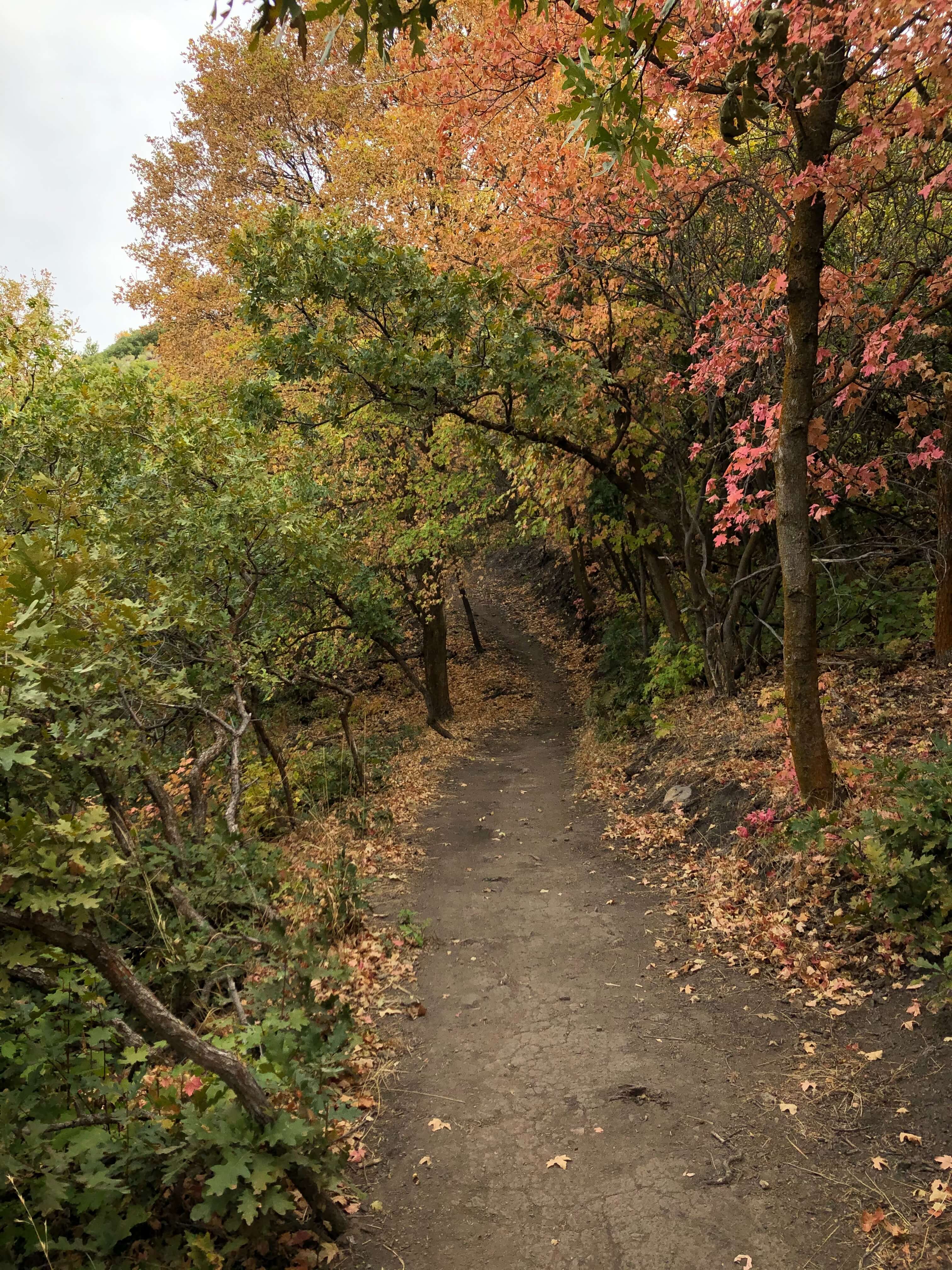 강원도에서 만나는 환상적인 가을 단풍 명소 5선