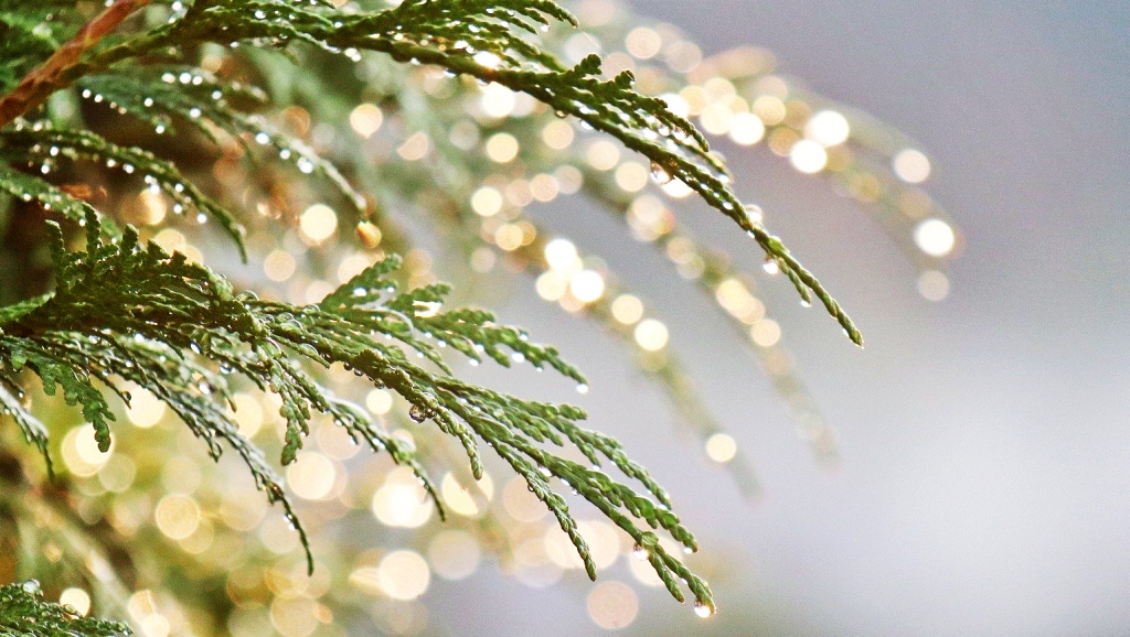 2022년 1월 새벽 기도문