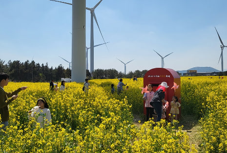 전국 벚꽃 봄꽃 축제 추천 Best 5