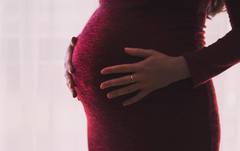 철분제 효능 : 임산부