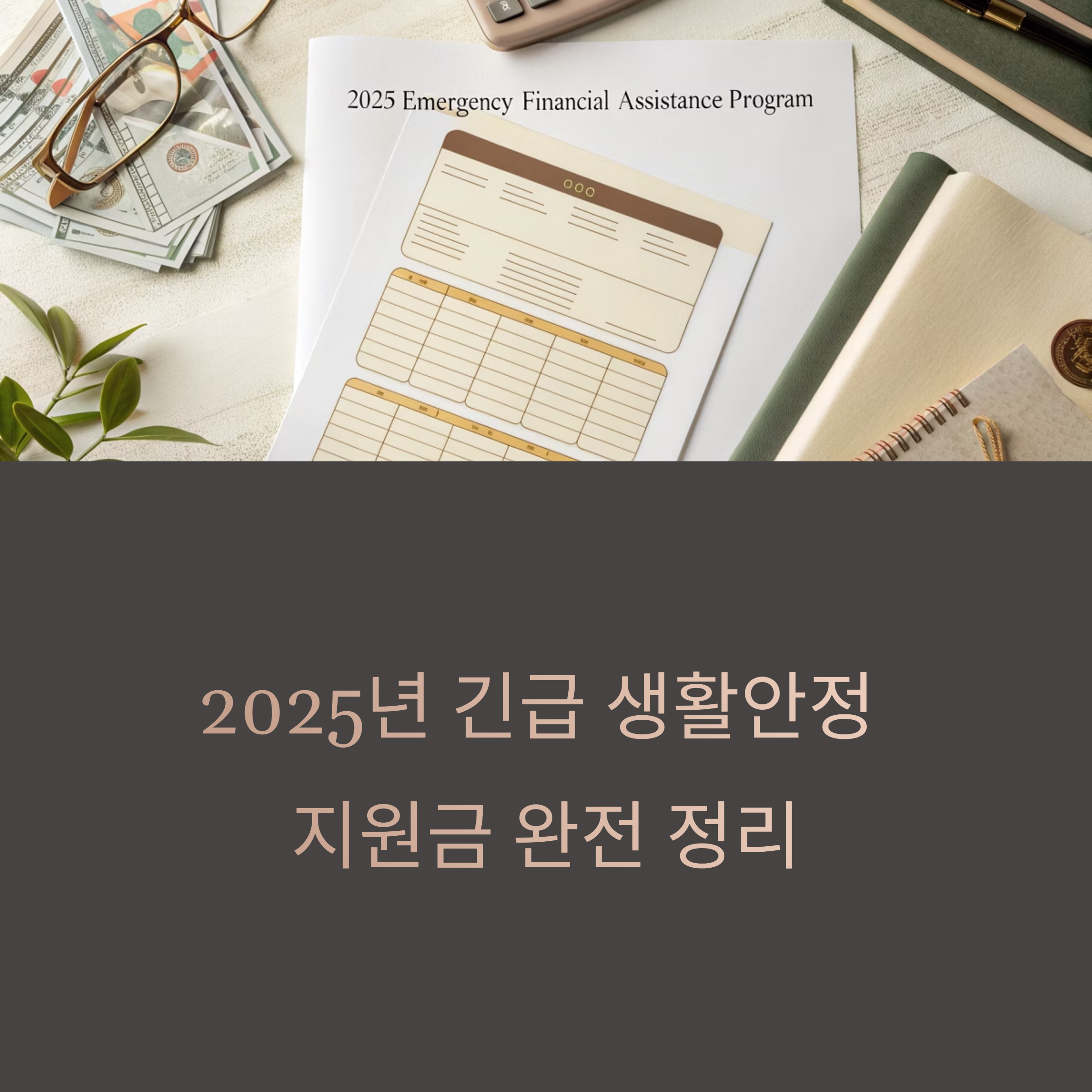 긴급 생활안정 지원금