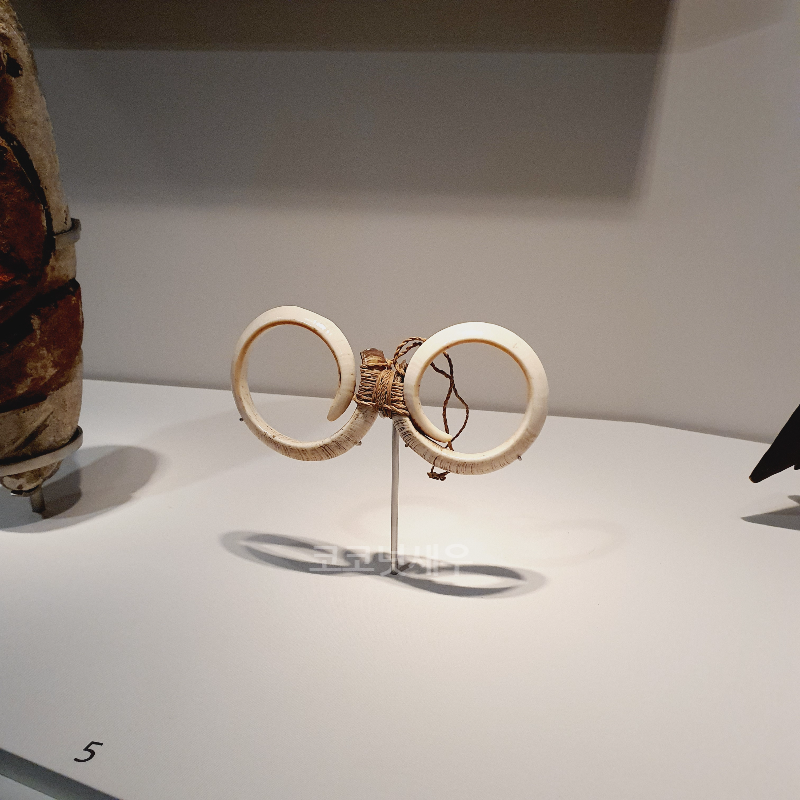 마나 모아나 전시회