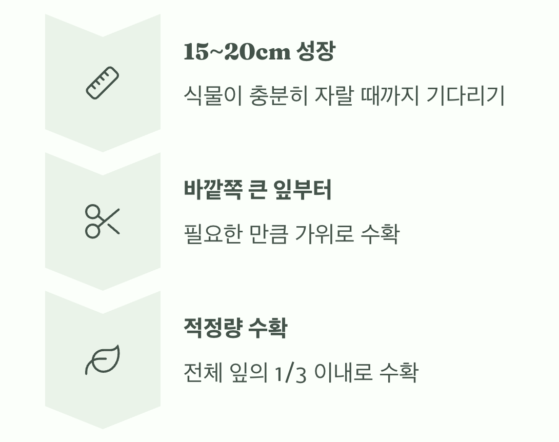 수확할수록 풍성해지는 마법