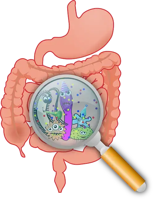 경성제약 쾌장군