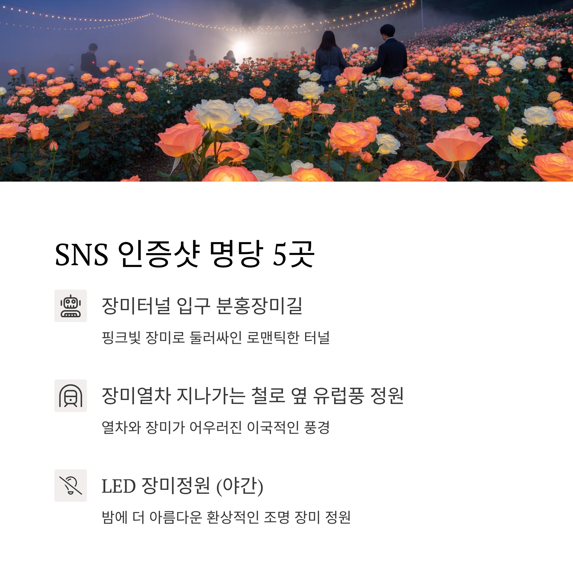 2025 곡성세계장미축제, 로맨틱함의 절정을 만나다!