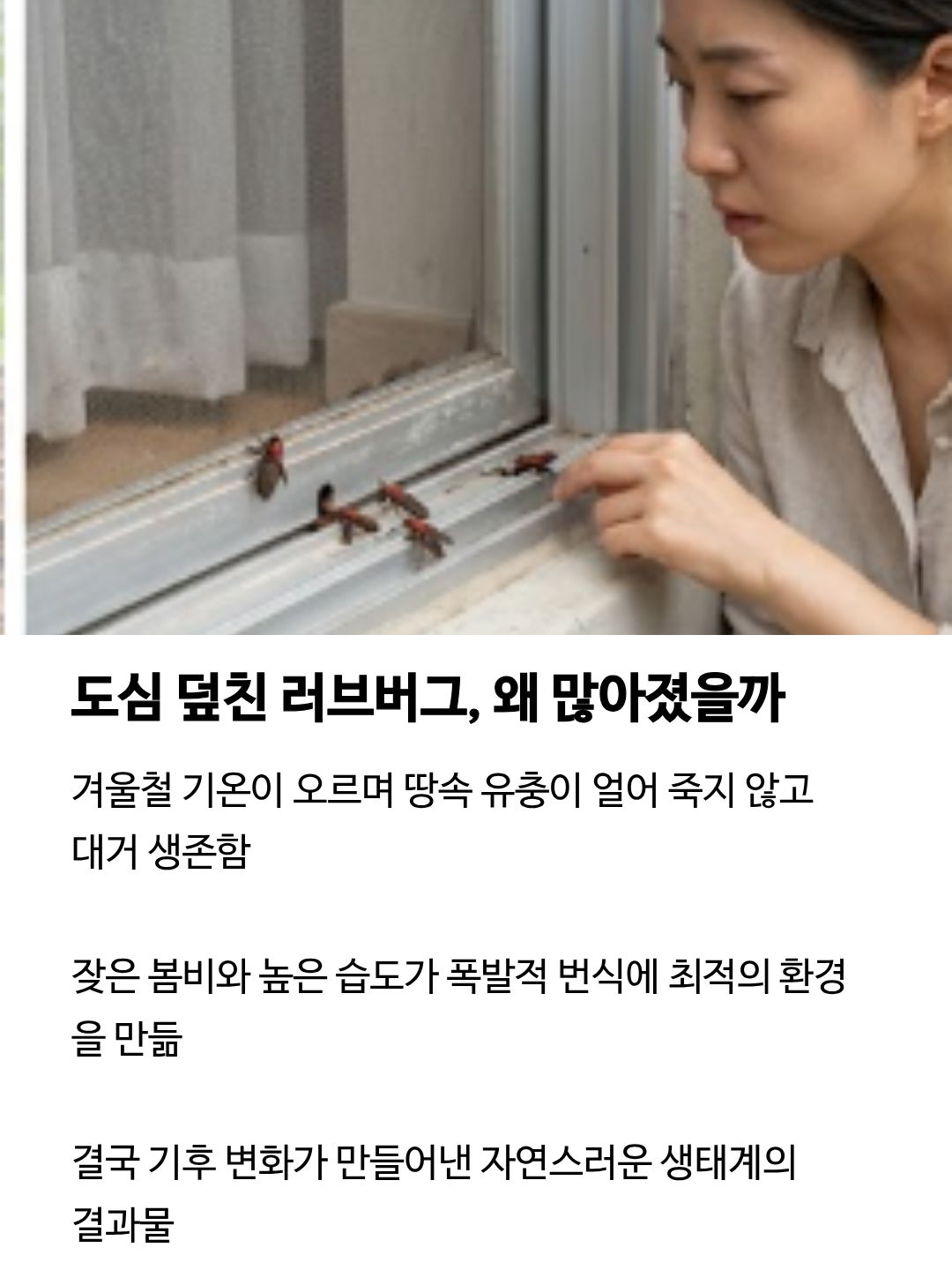 러브 버그 출몰시기