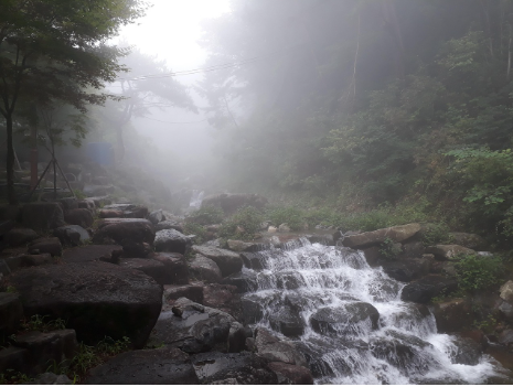 6월 국내 여행지 추천 Top5