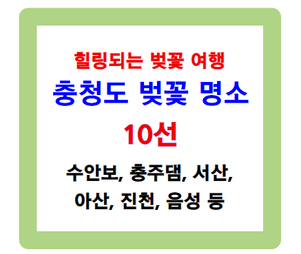 사람 없는 충청도 벚꽃 명소 10선 - 힐링되는 벚꽃 여행