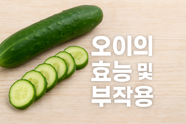 오이의 효능 효과 및 부작용 오이 칼로리