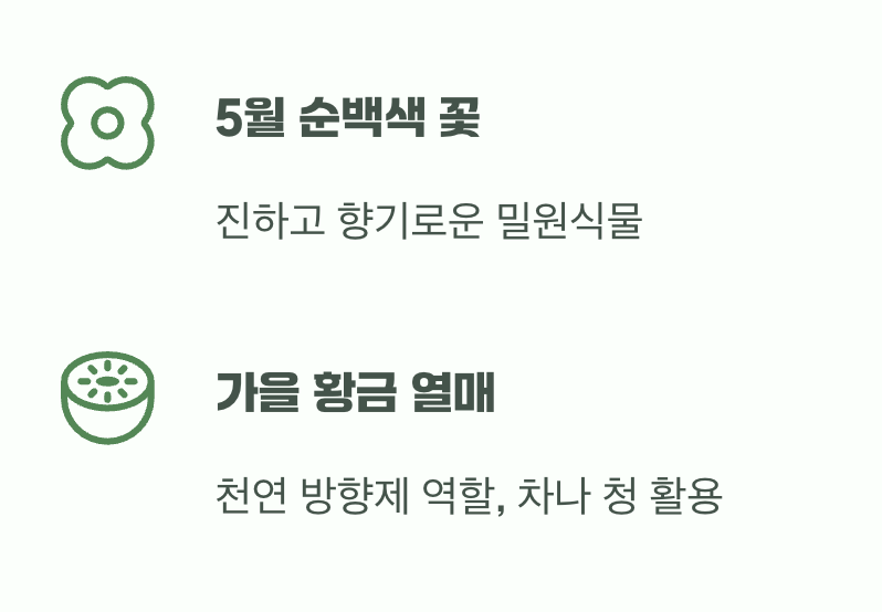 비결 4. 향기로운 선물, '꽃'과 '열매'