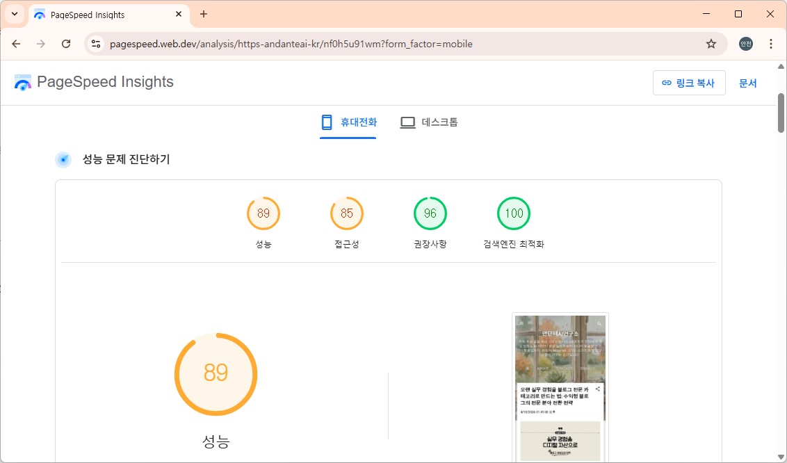 구글 페이지 스피드 인사이트 결과 화면 캡처