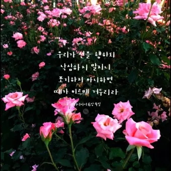 갈라디아서 6장 14절 묵상 십자가의 자랑_19