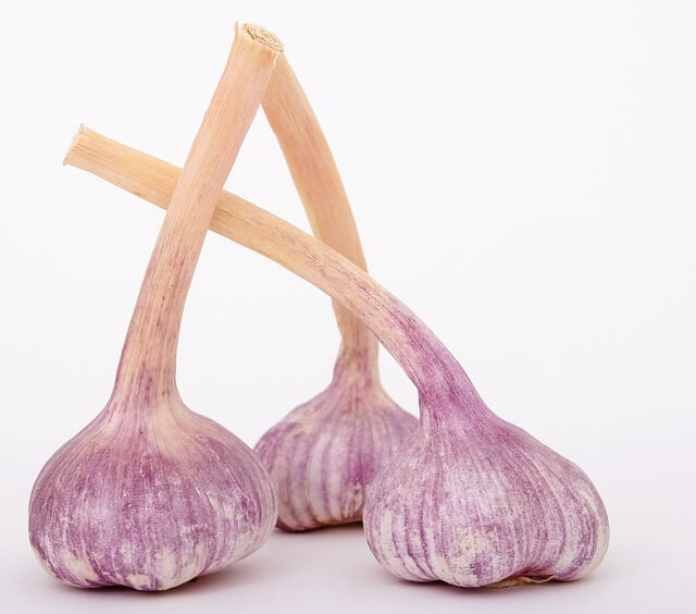 깐마늘 보관법