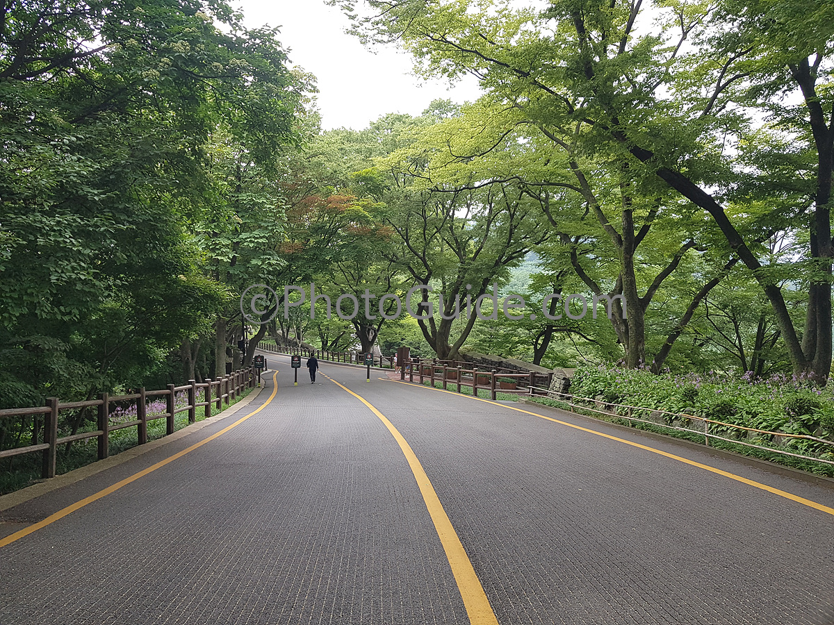서울 남산 도로