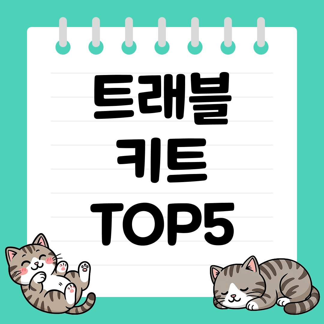 기내 반입 가능한 트래블 키트 추천 순위 TOP5