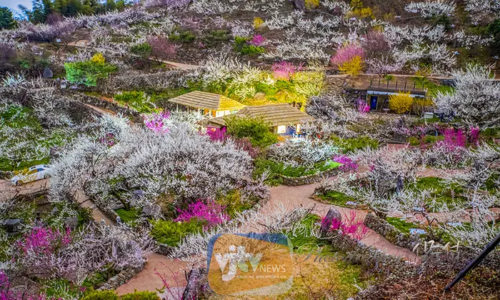 전남 봄나들이 가볼만한 곳2