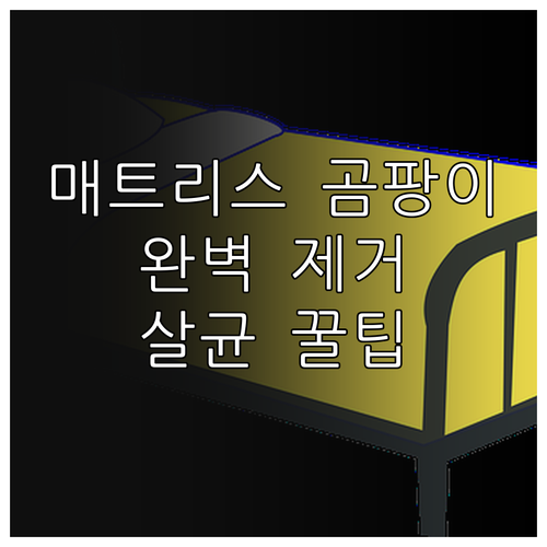 침대 매트리스 곰팡이 얼룩 제거 및 ..