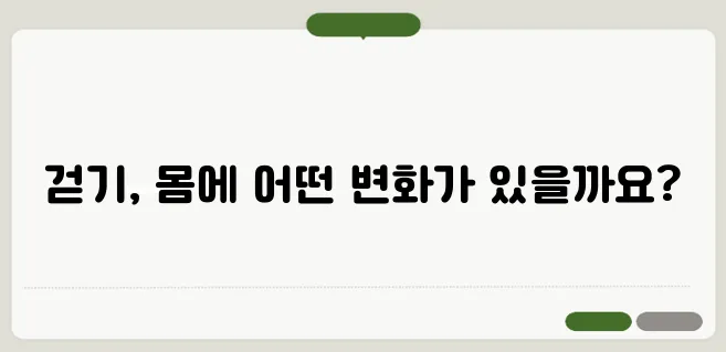걷기 운동 효과 하루 만보 걸으면 몸에 어떤 변화가?