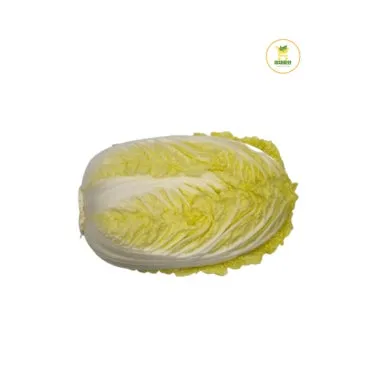 알배기 배추 물김치 담그는 법 및 보관 방법 총정리_4