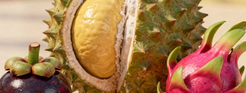 과일 종류 100가지