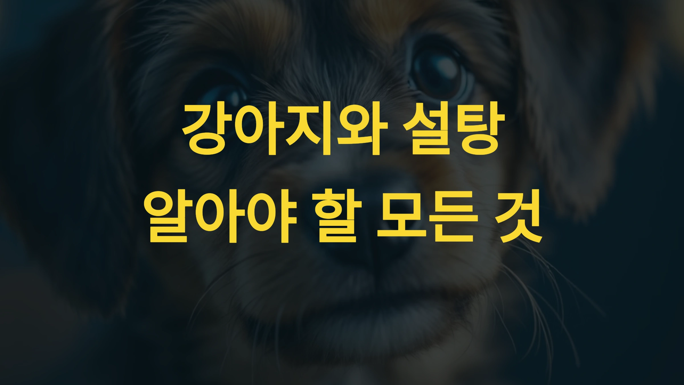 강아지가 설탕을 먹어도 괜찮을까