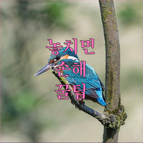 긴급재난지원금, 놓치지 마세요! 신청..