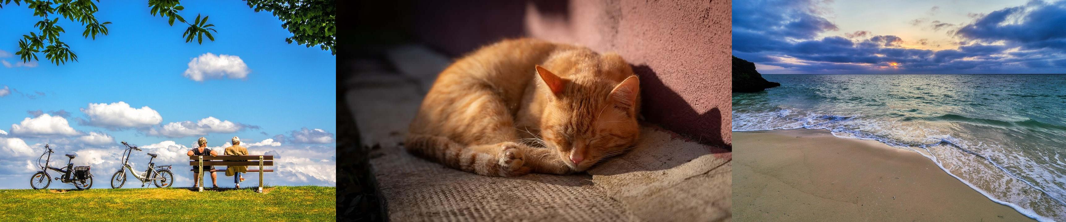 근로장려금의 사회적 의미