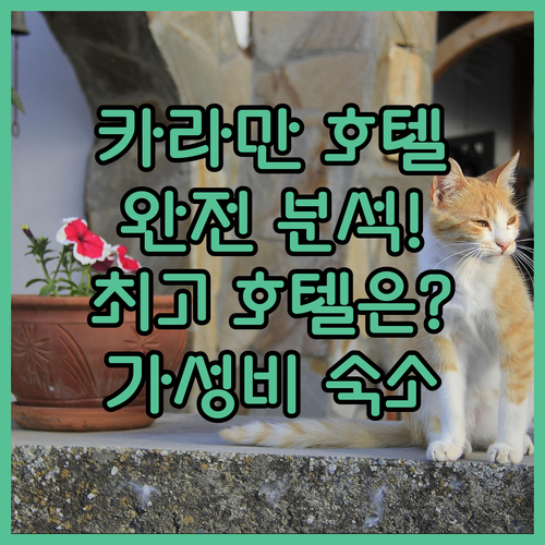 카라만 호텔 완전 분석! 나디르, 그..