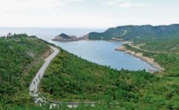 비금도 배시간표