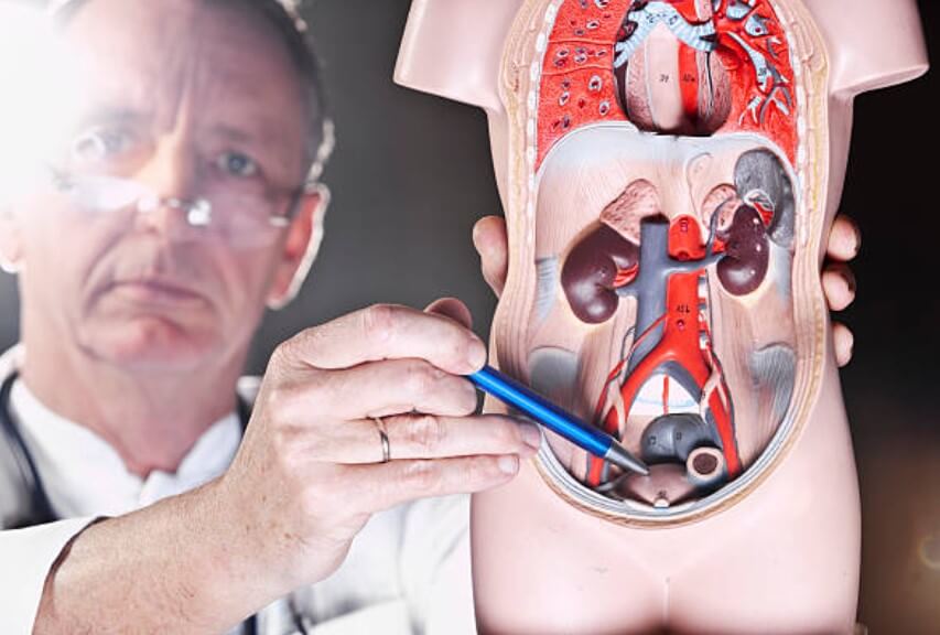 전립선비대증약