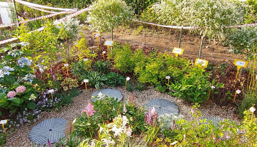 서울국제정원박람회 입장료