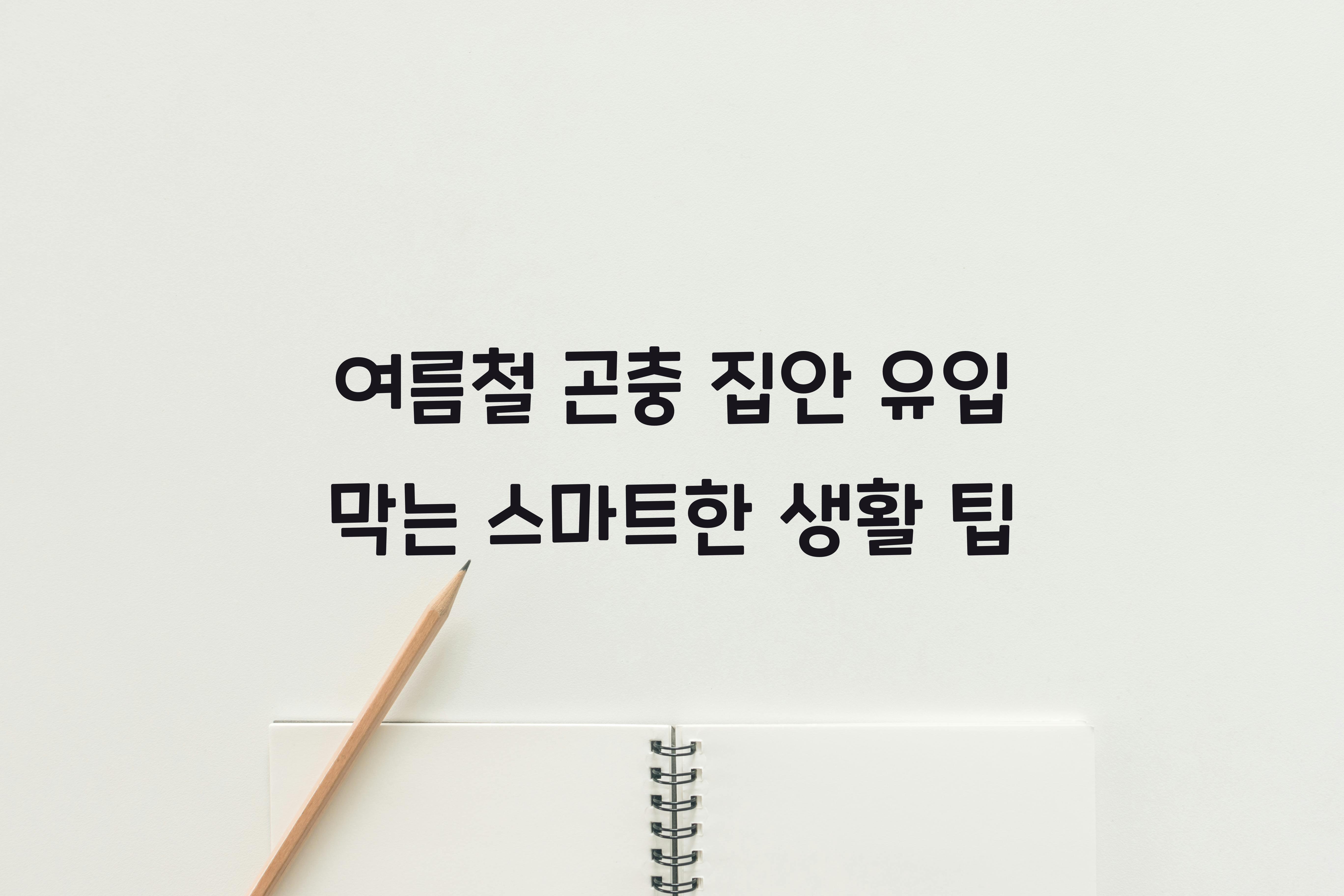 여름철 곤충 집안 유입 막는 생활 팁