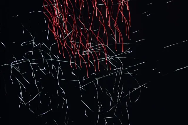 낯선 외부 요인이 더 크게 느껴지는 이유｜주의 반응의 작동 원리