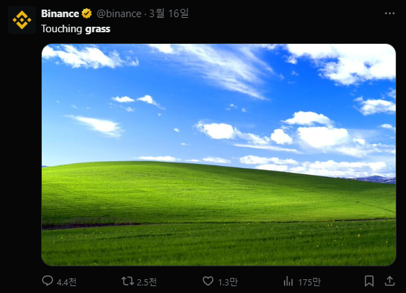 Binace, grass 바이낸스에서 언급한 코인