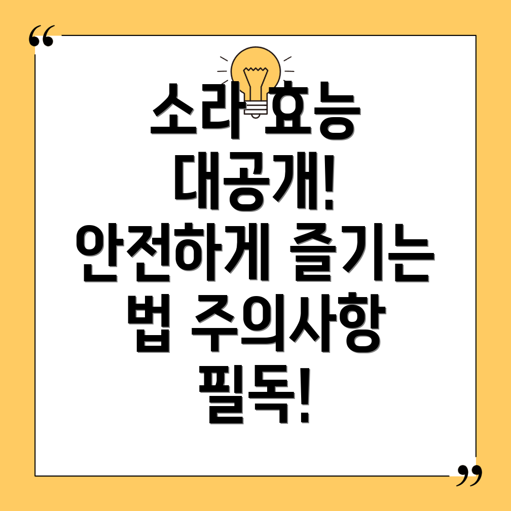 소라
