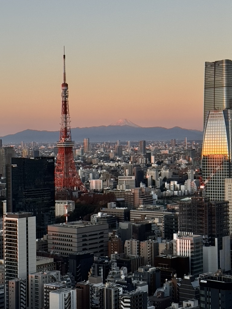 도쿄타워와 후지산이 보이는 도쿄 시내 석양 전경, 일본 도쿄 여행 대표 이미지