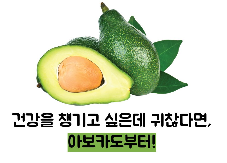 아보카도 효능