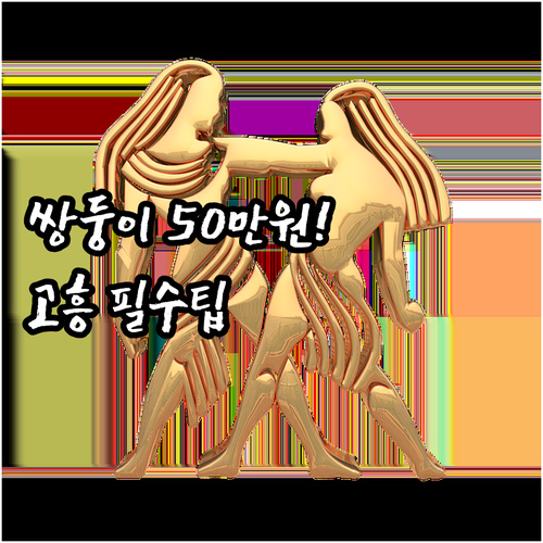 출산일 기준 2025년 고흥군 쌍둥이..