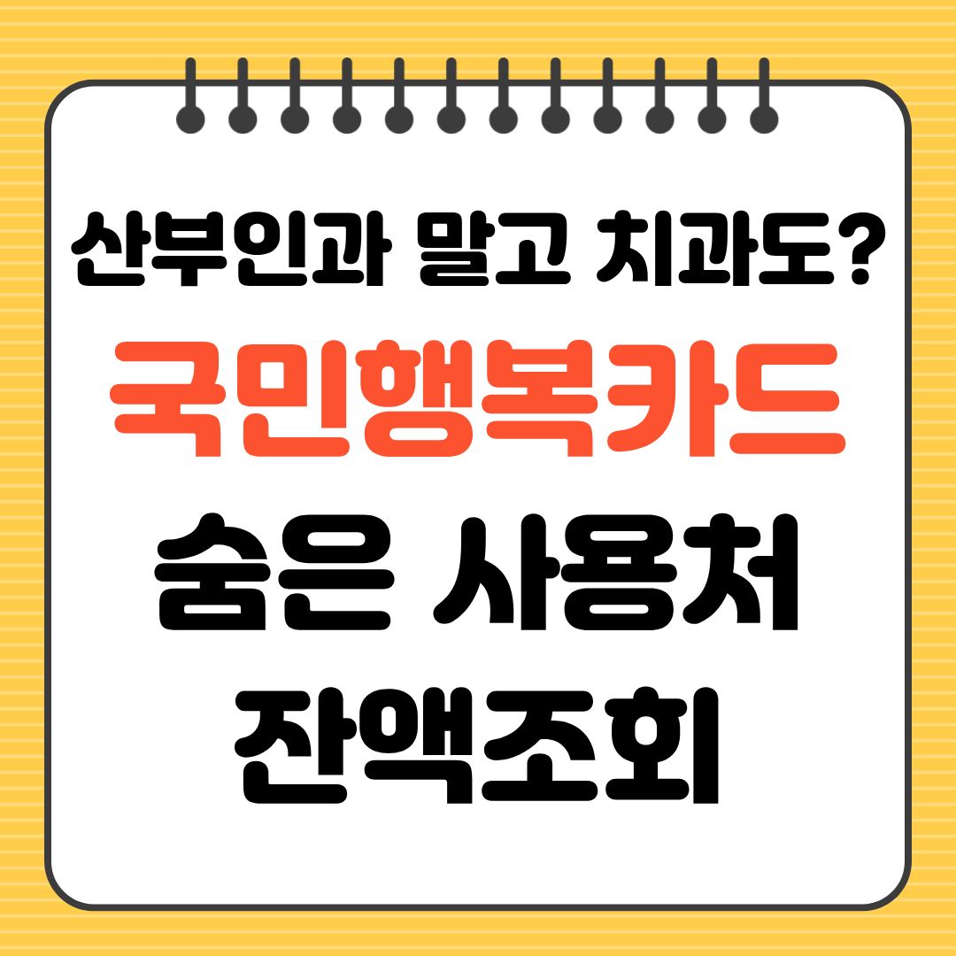 산부인과 말고 치과도 사용 2026 국민행복카드 숨은 사용처 잔액조회