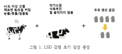 럼피스킨병