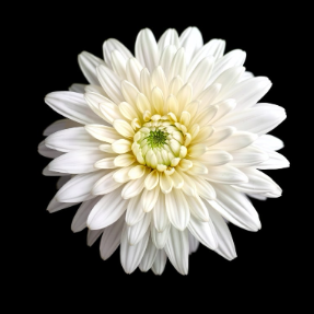 미얀마·태국 강진 발생