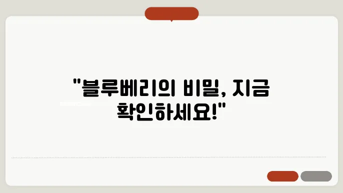 블루베리 효능 부작용! 올바른 섭취방법! 총정리!