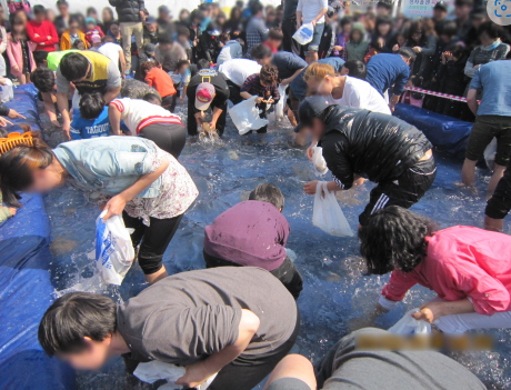 주꾸미,도다리대잔치